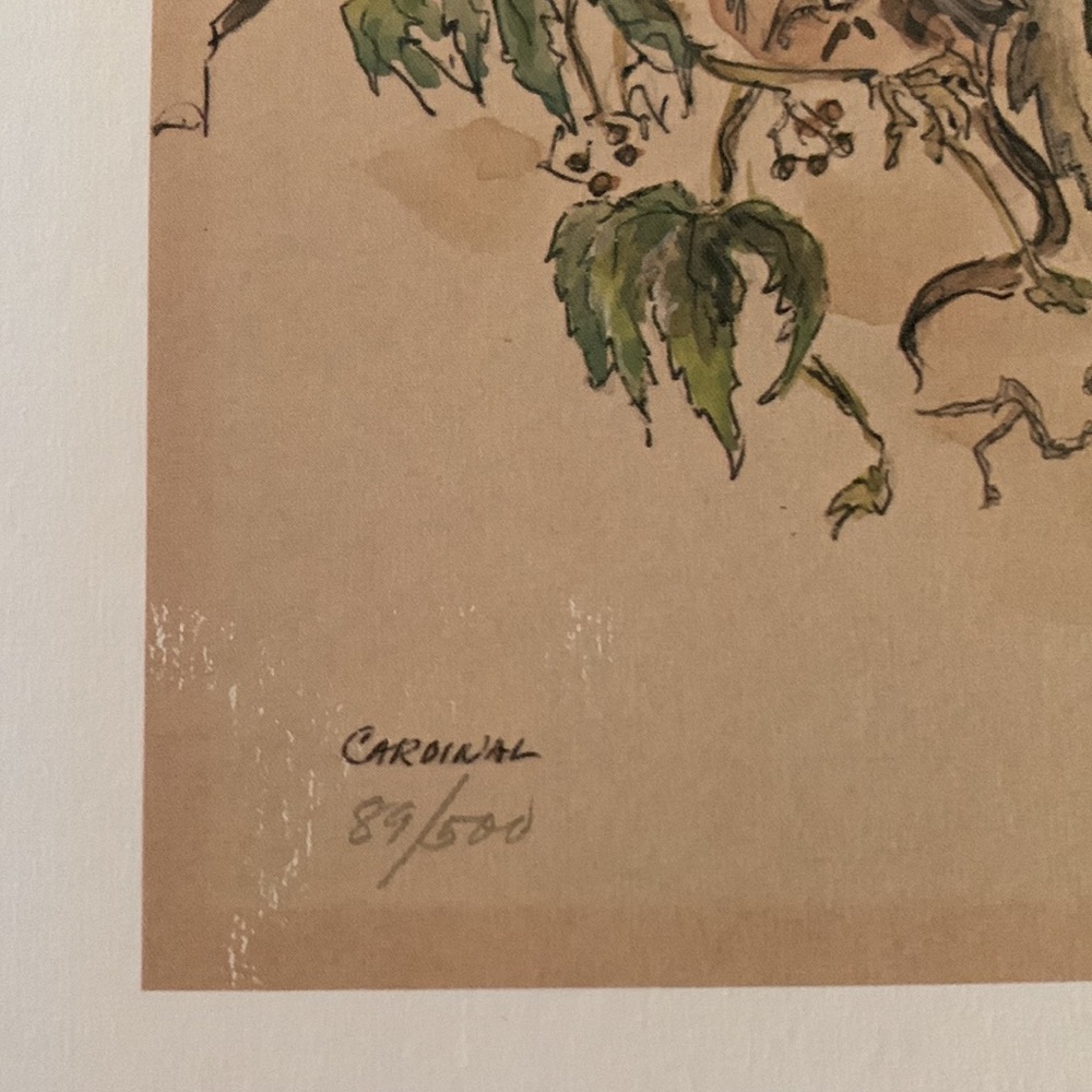 1975, set of numbered, 88/500 and 89/500 signed prints of birds nest MARY MUGG. - Picture 7 of 9